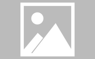 临邑孟津网站设计建设（孟津工程招标公示）
