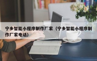 临邑宁乡智能小程序制作厂家（宁乡智能小程序制作厂家电话）